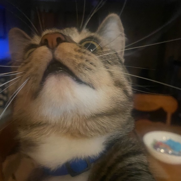 freddy - Picture 9 of 16